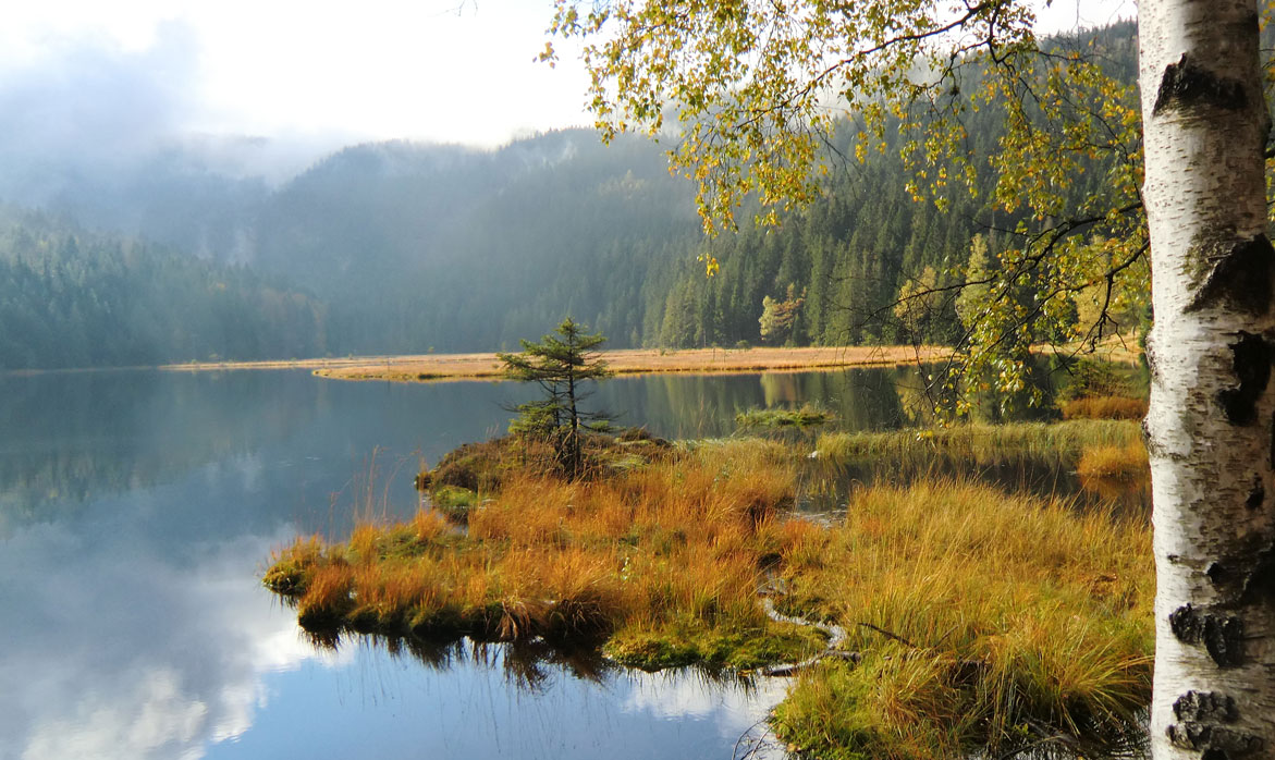 Lake in the Bavarian Forest National Park holiday region Lake in the Bavarian Forest National Park holiday region