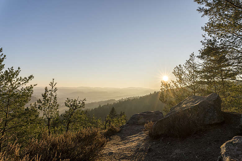 Bavarian Forest National Park Holiday Region Sunset 