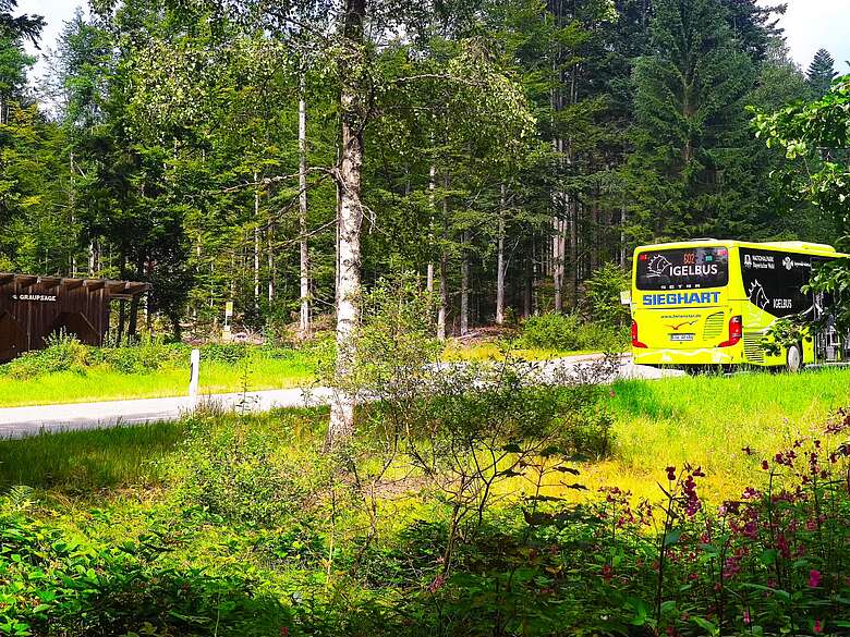 Igelbus auf Strecke