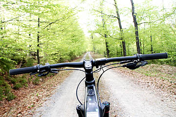 Radltour durch den Nationalpark Bayerischer Wald im Frühling Auf in die Radlsaison