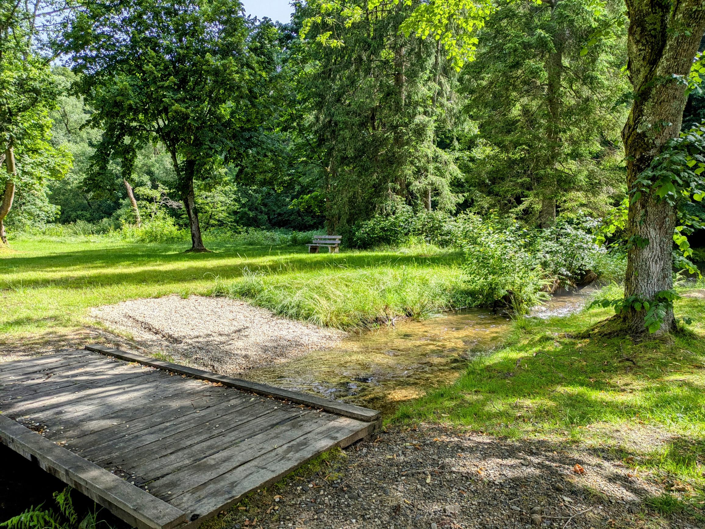 Hundebadestelle_Regenhütte_bei_Kneippanlage_Foto_Daniela_Schwarz