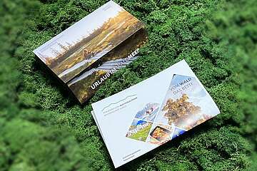 Geschenk-Gutscheine