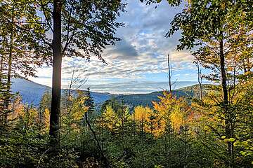 Herbstlicher Ausblick auf den Großen Arber Herbst die beste Jahreszeit!