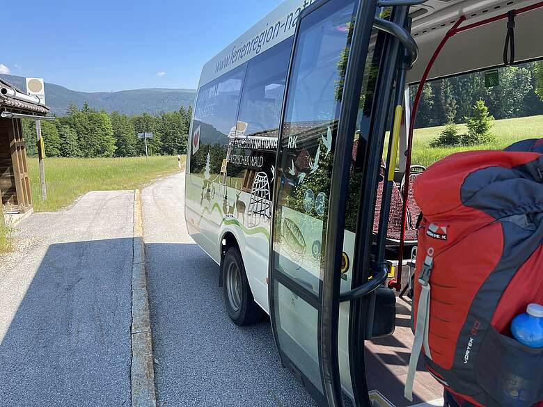 Falkensteinbus im Sommer