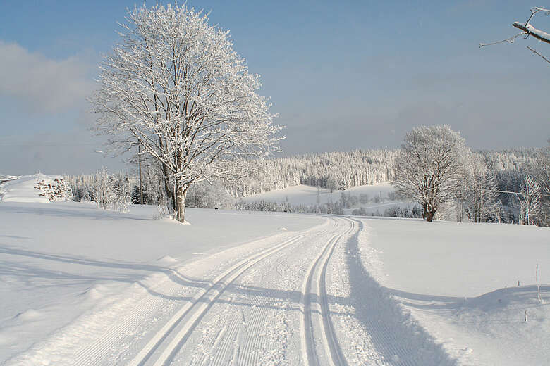 Langlaufloipe Finsterau