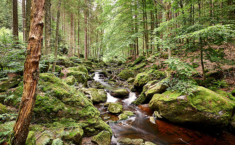Wandern in der Steinklamm Bayerischer Wald