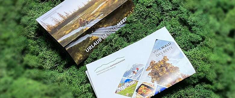 Geschenkgutscheine