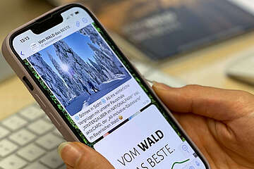 WhatsApp Kanal der Ferienregion